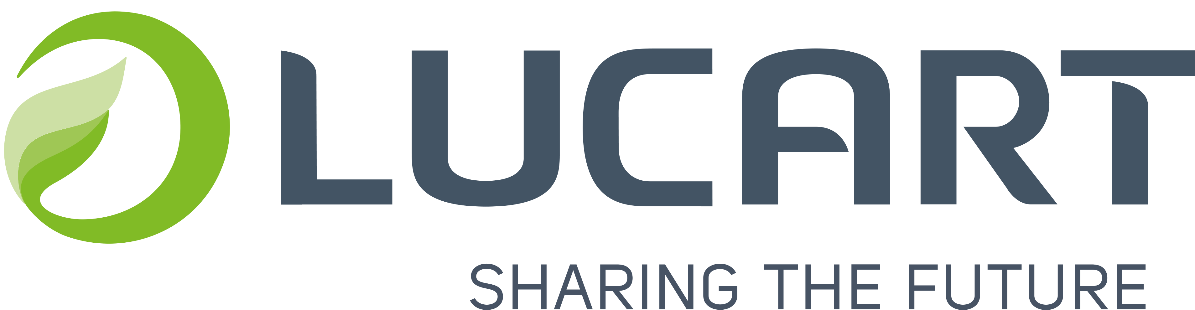 Lucart Professional Logo