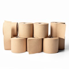 Papierová hygiena Lucart